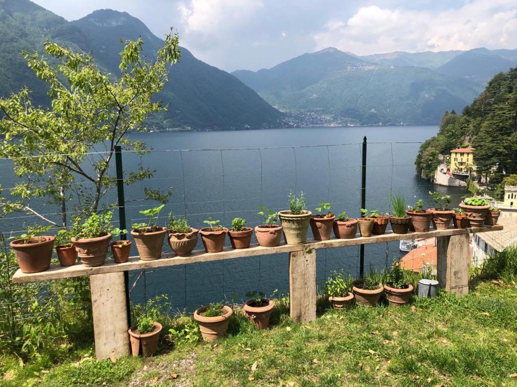 Gli Orti Della Civera " Cottagecore" Amazing View Nesso Exterior foto