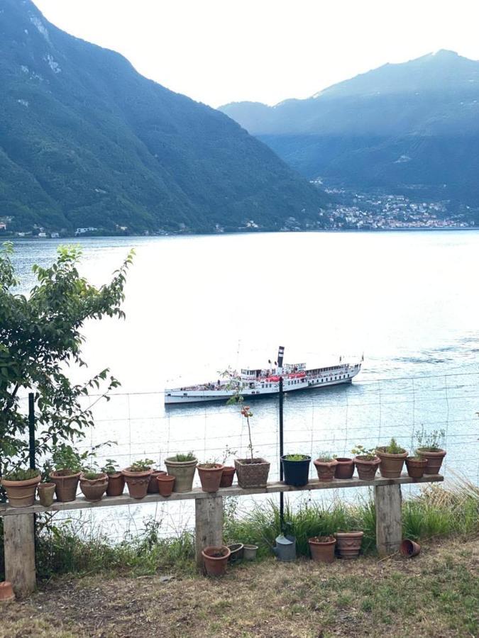 Gli Orti Della Civera " Cottagecore" Amazing View Nesso Exterior foto